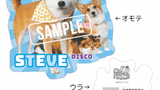 【受注生産販売品】柴犬スティーブch おしゃべりラバーストラップ おまけ付き 8/29発売！書籍「柴犬スティーブ白書」について | STEVE STUDIO