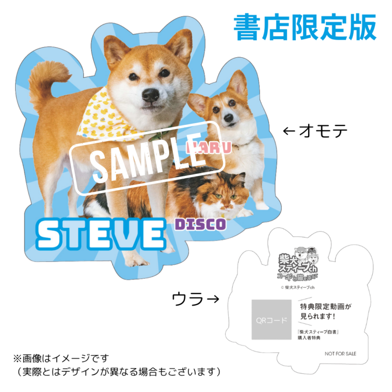 8/29発売！書籍「柴犬スティーブ白書」について | STEVE STUDIO